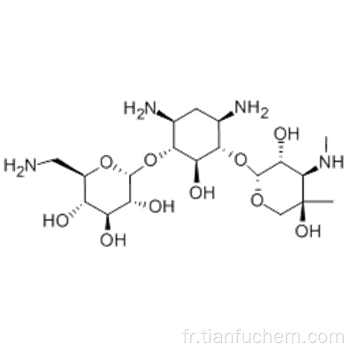 GENTAMICINE B CAS 36889-15-3